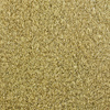 Molded Cut Pile Carpet 1967-69 GM F-Body - image 1