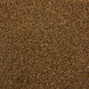 Molded Cut Pile Carpet 1975-81 GM F-Body - image 1