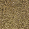 Molded Cut Pile Carpet 1975-81 GM F-Body - image 1