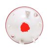 Tail Light Lens 1980-82 Chevy Corvette - image 3