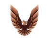 HOOD BIRD VINYL - image 1