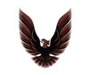 TRANS AM VINYL KIT - image 2