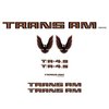 TRANS AM VINYL KIT - image 3