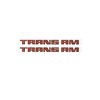 TRANSAM FENDER DECAL - image 1