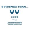 TRANS AM VINYL KIT - image 3