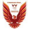 TRANS AM VINYL KIT - image 1