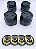 BCSG1 Black Center Cap Set for 1977-1981 Pontiac Firebird [Gold Bird Inserts] - image 1