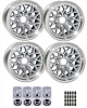 SSF179KSM 17" X 9" Silver Snowflake Wheel Kit [Silver Bird Inserts] - image 1