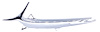 Barracuda Fish Trunk Lid Emblem 1968 Plymouth Barracuda - image 1