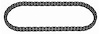 HP TRUE CHAIN - image 1