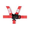 Junior Racing Harness SFI 16.1 Certified - image 2