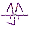 Jr Dragster/Quarter Midget Latch & Link 5-point Harness - Purple - image 1