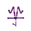 Racing Harness SFI 16.1 Certified - image 1