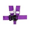 Racing Harness SFI 16.1 Certified - image 2