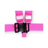 Racing Harness SFI 16.1 Certified - image 2