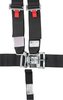 Racing Harness SFI 16.1 Certified - image 2