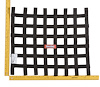 Window Safety Net SFI 27.1 Certified - image 1
