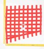 Window Safety Net SFI 27.1 Certified - image 2
