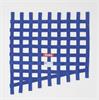 Window Safety Net SFI 27.1 Certified - image 1