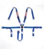 Junior Racing Harness SFI 16.1 Certified - image 1