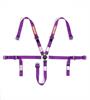 Junior Racing Harness SFI 16.1 Certified - image 1