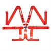 SFI 16.1 6-Point Camlock Safety Harness - image 1