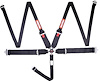 Sportsman Racing Harness SFI 16.1 Certified - image 1
