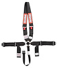 Dragster Racing Harness SFI 16.1 Certified - image 1