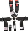 Dragster Racing Harness SFI 16.1 Certified - image 2