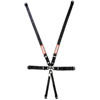 Pull Down Racing Harness SFI 16.1 & FIA 8853/98 Certified - image 1