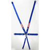 Pull Down Racing Harness SFI 16.1 & FIA 8853/98 Certified - image 1