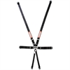 Pull Down Racing Harness SFI 16.1 & FIA 8853/98 Certified - image 1