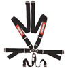 Euro Racing Harness FIA 8853/98 Approved - image 1