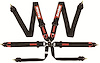 RaceQuip FIA Certified 6-Point Camlock Safety Harness