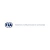 RaceQuip FIA Certified 6-Point Camlock Safety Harness - image 3