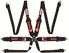 RaceQuip FIA Certified 6-Point Camlock Safety Harness