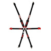 RaceQuip FIA Certified 6-Point Camlock Safety Harness - image 1