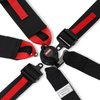 RaceQuip FIA Certified 6-Point Camlock Safety Harness - image 3