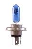 Spectra H4 Ultra White Bulb - image 1