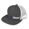 Snapback Hat - image 1