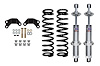2258-1R Chevrolet Camaro Rear Suspension Kit, Viking Shocks, Race-Handling; Black - image 1