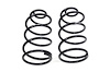 Rear Lowering Spring Set 1964-1966 GM A-Body - image 1