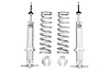 A226-300 1993-2002 GM F-Body Viking Front Coil Over Kit, Double Adj Bearing; Silver - image 1