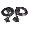 Molded Door Seals with Clips and Molded Ends. For 2-door hardtop. Pair. R&L. DOOR SEAL 68-70 AMC AMX 68-74 AMC JAVELIN PAIR - image 1