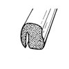 LP 51-C Trunk Seal - image 2