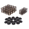 Acura/Honda Valve Spring Kit Incl. Springs/Steel Retainers Acura/Honda DOHC VTEC - image 1