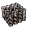 Acura/Honda Valve Spring Kit For Use w/Honda D16 Engine - image 1