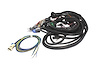 XFI Main Wiring Harness GM LTI - image 1