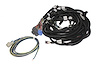 XFI Main Wiring Harness GM LS1, LS2 & LS7 - image 1