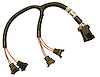 XFI Fuel Injector Harness Small and Big Block Chevy, LT1 - image 1